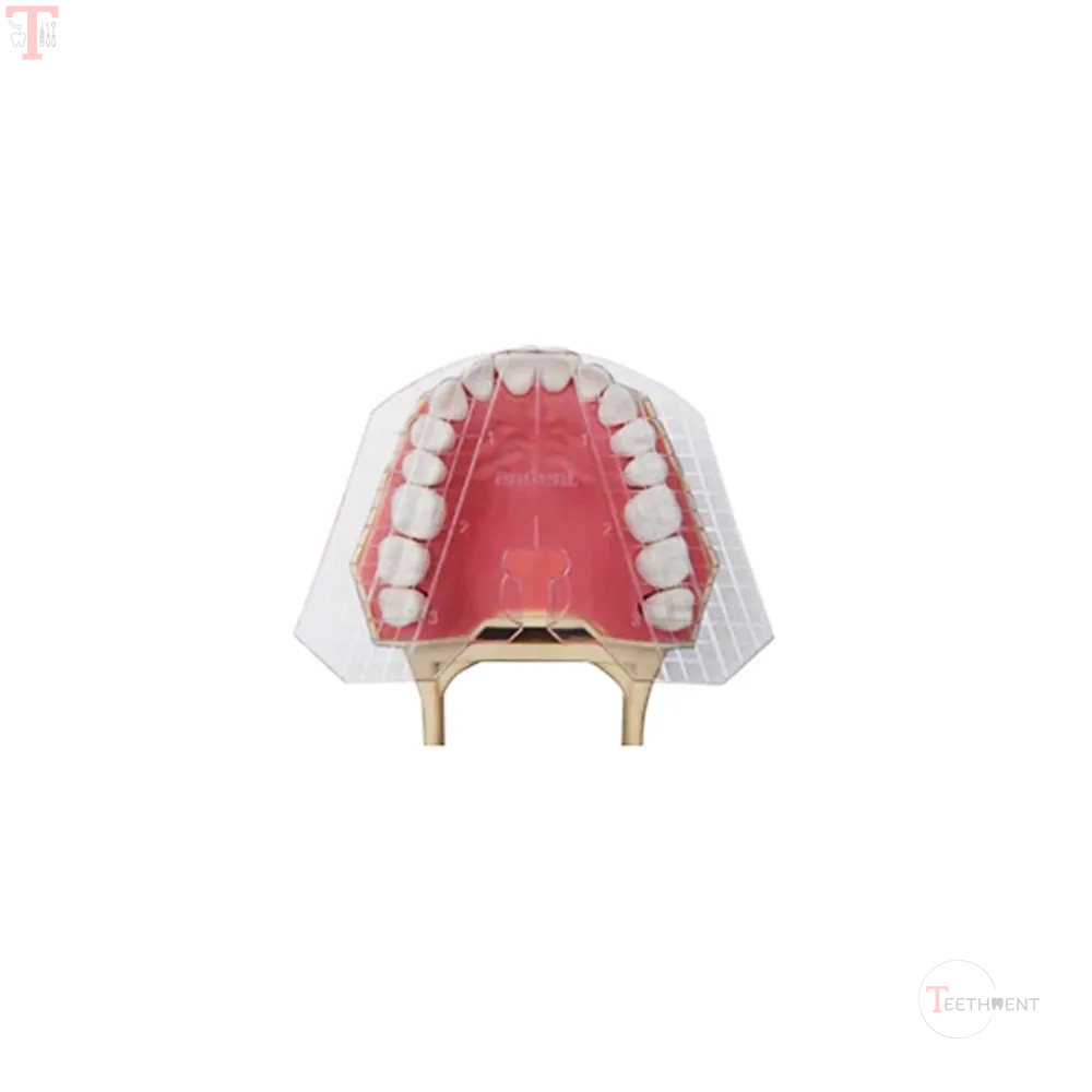ET Dental Guide Template Plate for Ideal Dentures Fabrication_5.jpg