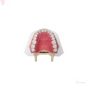 ET Dental Guide Template Plate for Ideal Dentures Fabrication_5.jpg