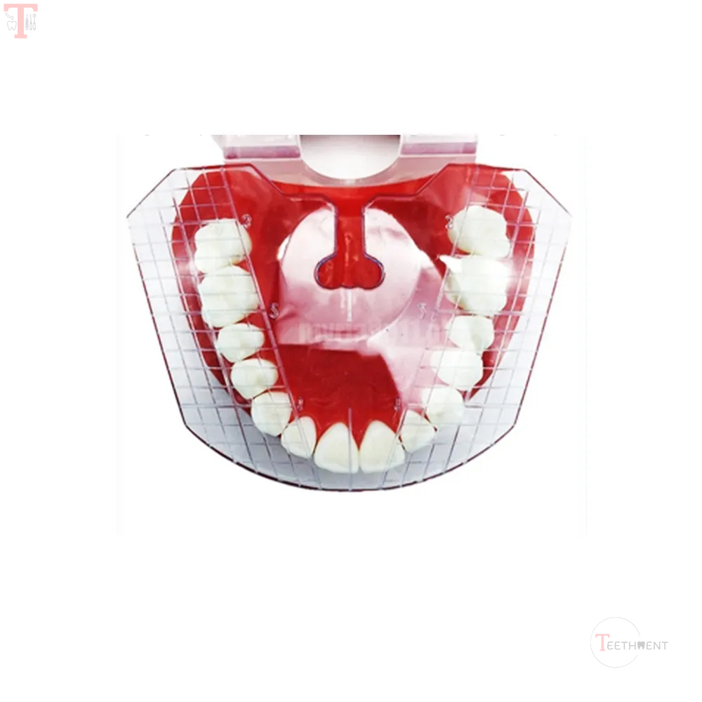 ET Dental Guide Template Plate for Ideal Dentures Fabrication_6.jpg