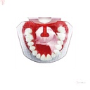 ET Dental Guide Template Plate for Ideal Dentures Fabrication_6.jpg