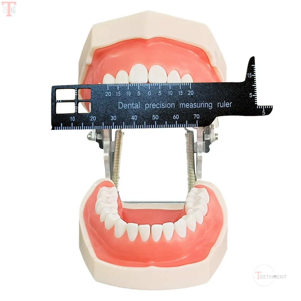 ET Dental Precision Measuring Ruler_6.jpg