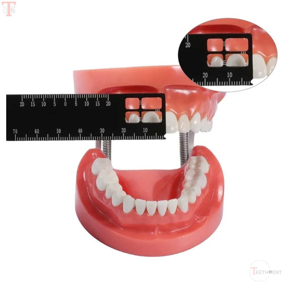 ET Dental Precision Measuring Ruler_9.jpg