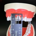 ET Dental Precision Measuring Ruler_10.jpg