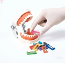 EasyinSmile IPR Stripping System_5.jpg