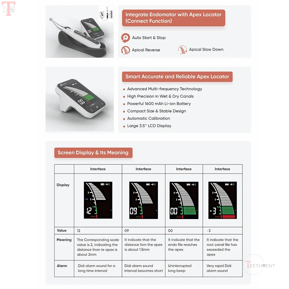 Eighteeth Medical EConnect Endomotor with EPex Apex Locator Combo_7.jpg