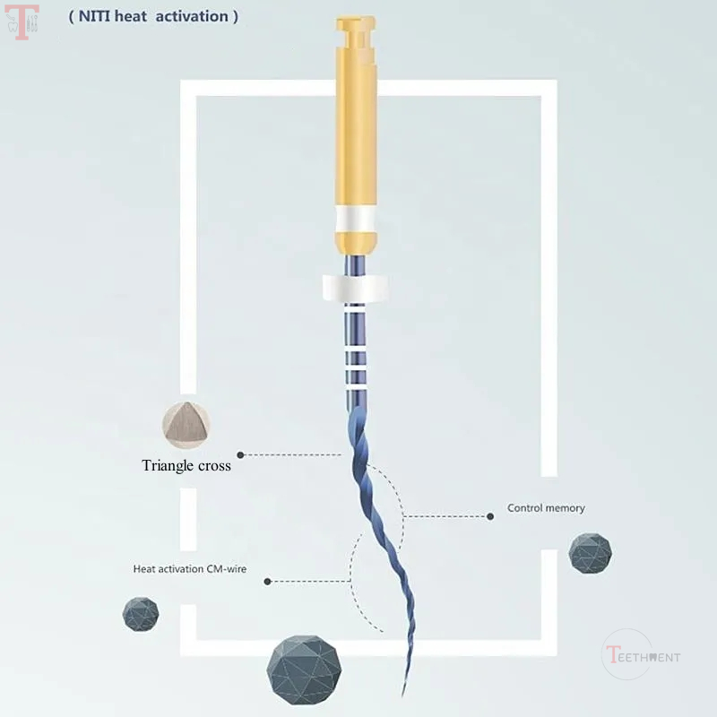 Endoking Blue Rotary Files_5.jpg
