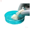 Eucare Sybograf Synthetic Bone Graft_2.jpg