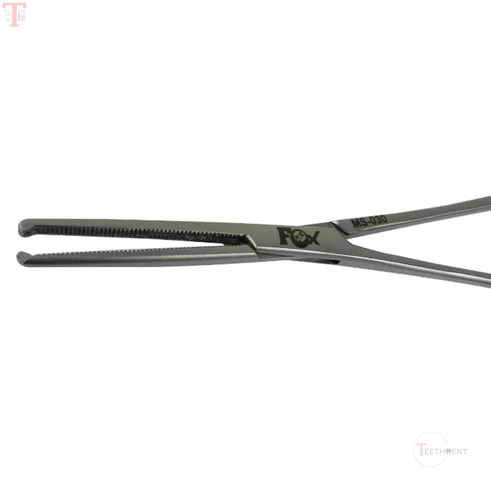 Fox Kocher Artery Forcep Straight 15cm6Inch  MS030_2.jpg