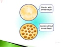 GC Dentin Conditioner_5.jpg