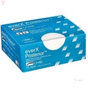 GC Everx Posterior_2.jpg