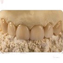 GC Fuji Rock Ep Golden Brown 5kg_3.jpg