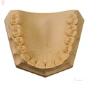 GC Fuji Rock Ep Golden Brown 5kg_5.jpg