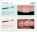 GC GAenial Anterior_4.jpg