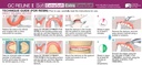 GC Reline II Soft Intro Kit_8.jpg