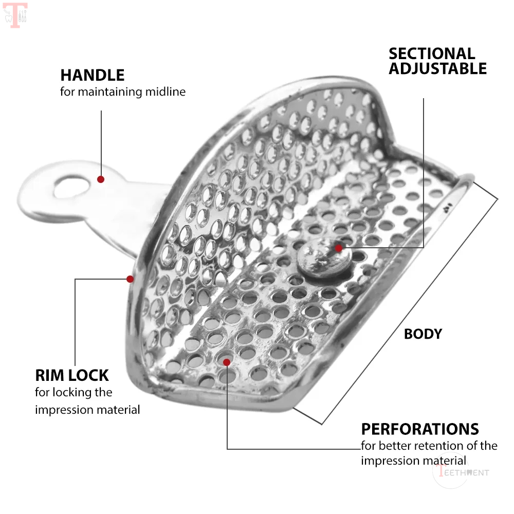 GDC Adjustable Dentulous Perforated Itrldpa_3.jpg