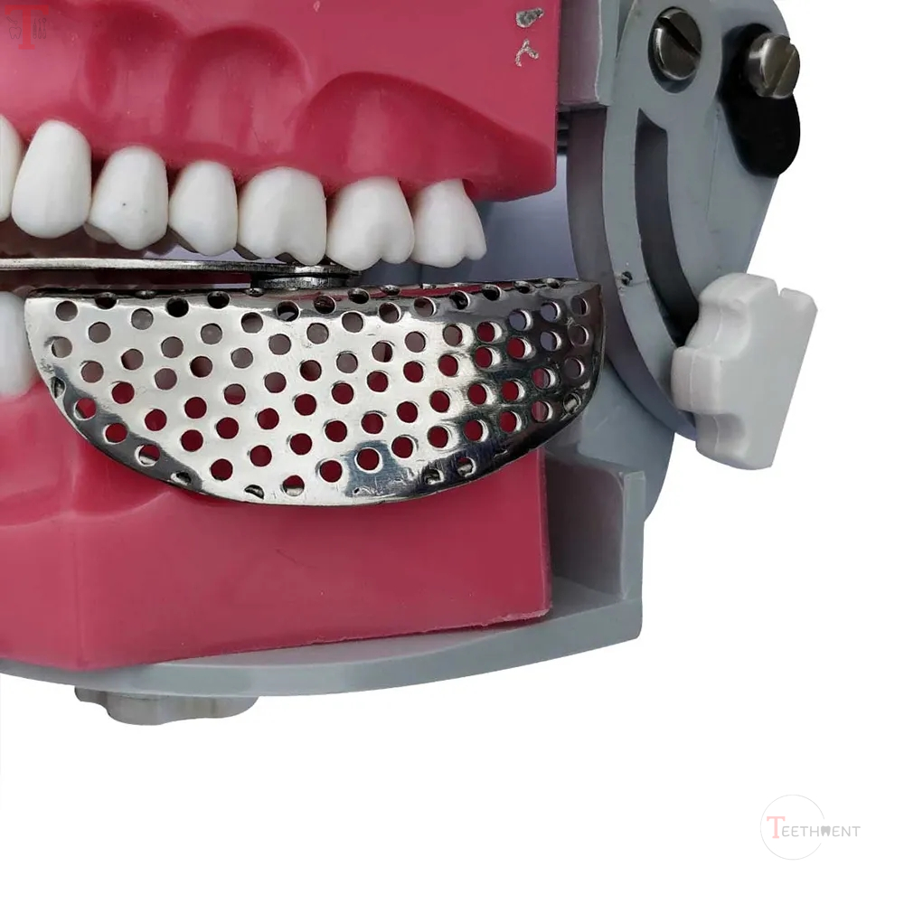 GDC Adjustable Dentulous Perforated Itrldpa_4.jpg