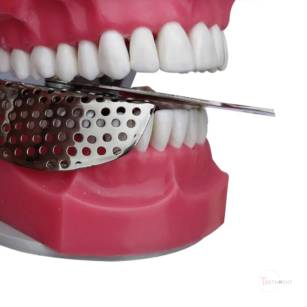 GDC Adjustable Dentulous Perforated Itrldpa_6.jpg