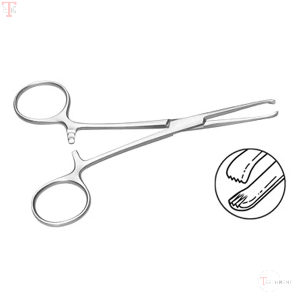 GDC Allis Forceps Baby4x5 125cm TFB_2.jpg