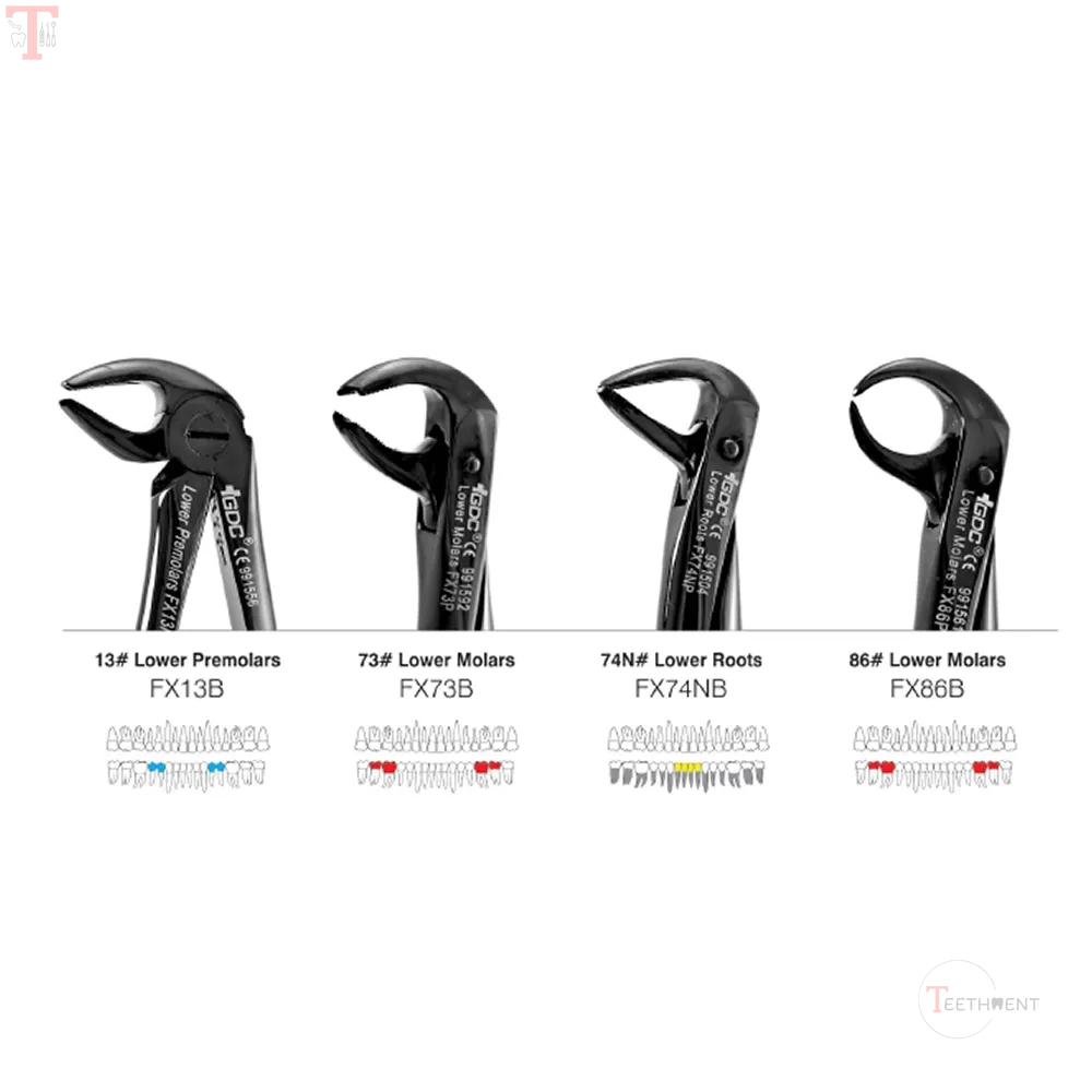 GDC Black Plasma Coated Extraction Forcep Kit_3.jpg