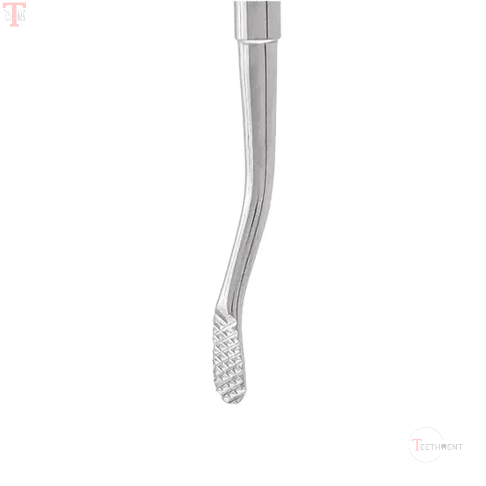 GDC Bone File Howard  12 BF12_2.jpg