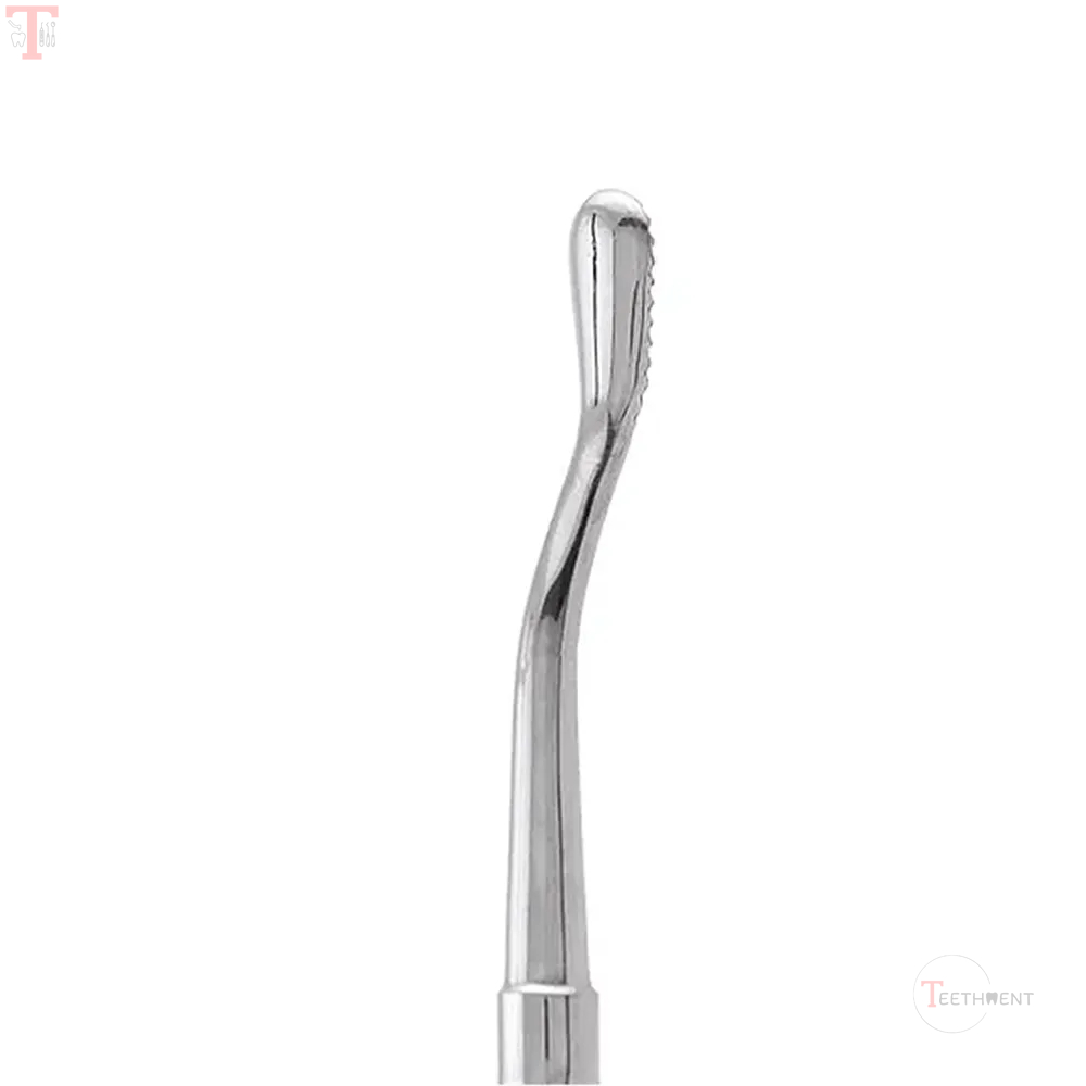 GDC Bone File Howard  12 BF12_3.jpg