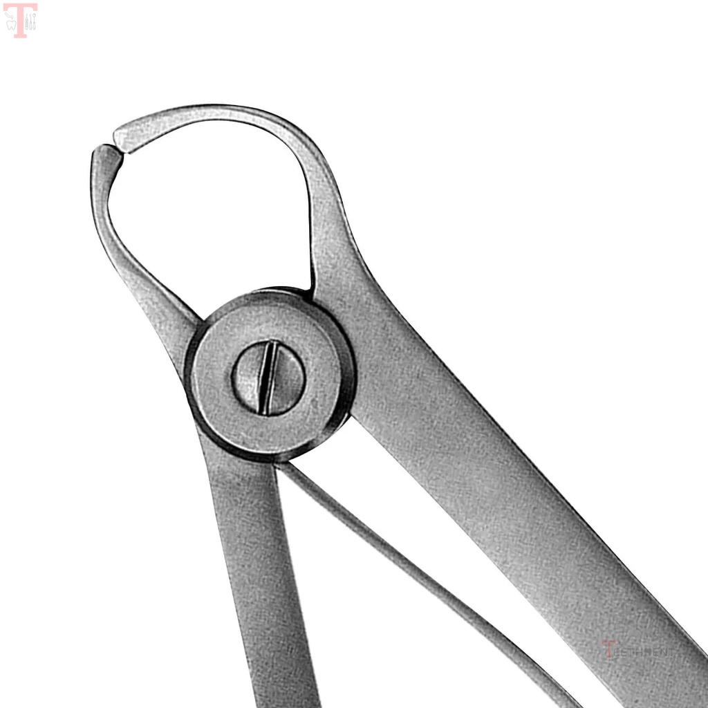 GDC Caliper Iwanson Wax CLP2_3.jpg