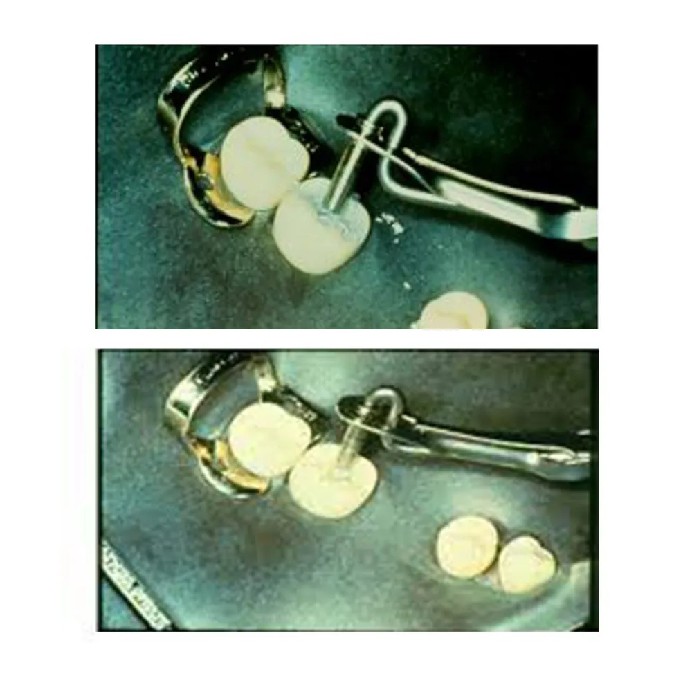 GDC Dental Amalgam Carrier Double Ended  LargeRegular AC5202_5.png