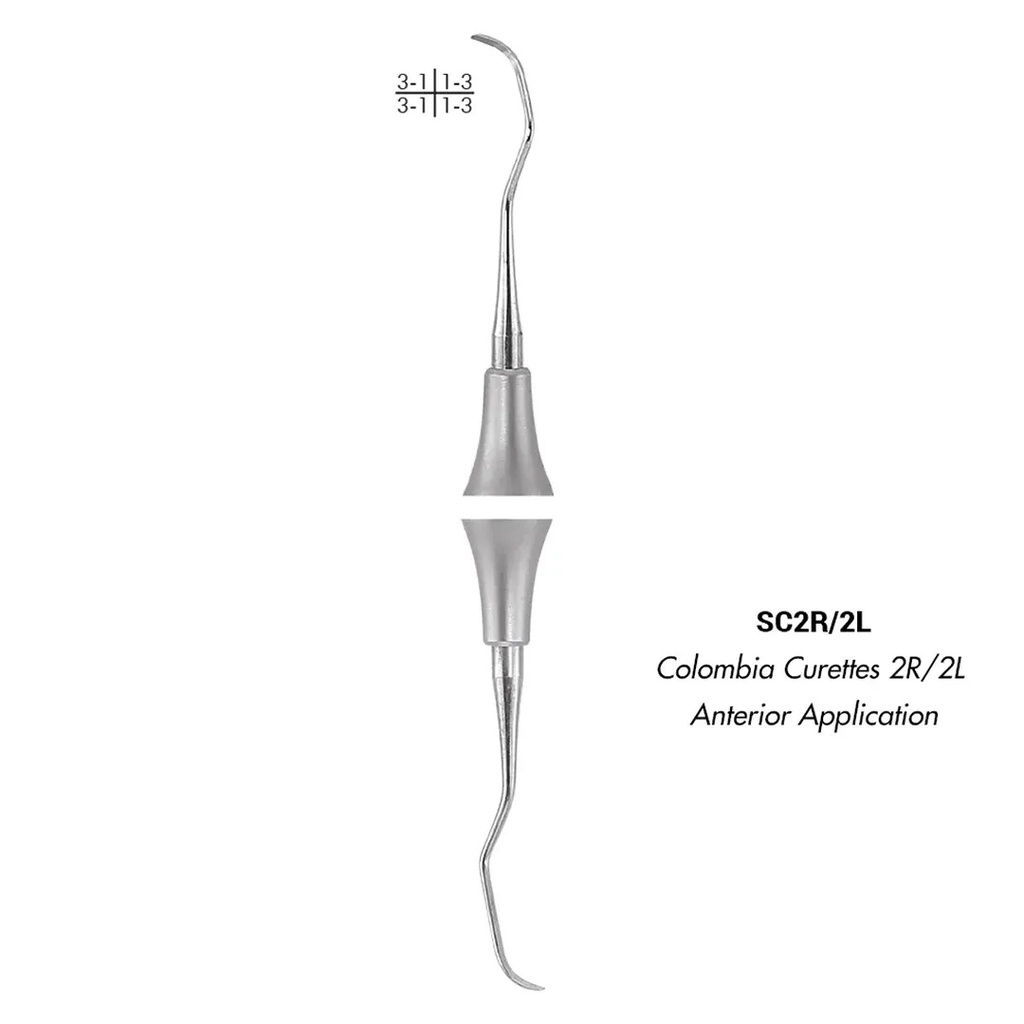 GDC Columbia Curettes 2r2l Anterior Application 6 Sc2r2l_3.png