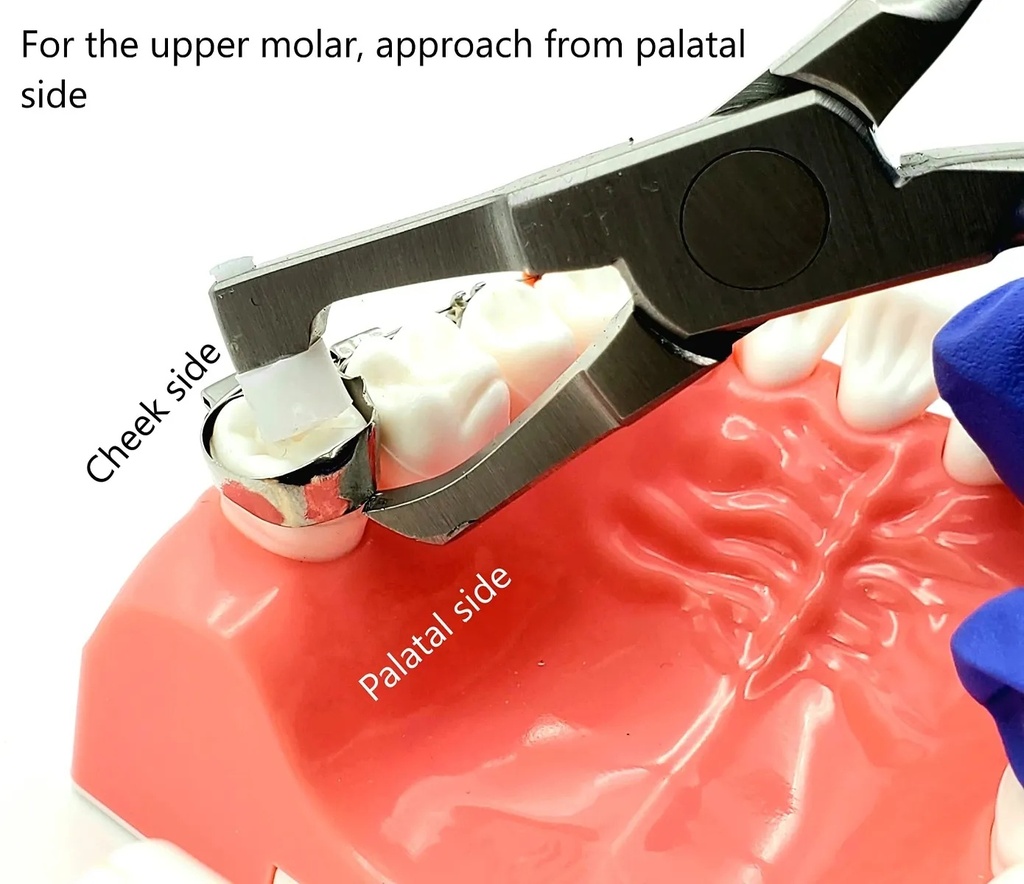 GDC Posterior Band RemoverLong Plier 300050_5.png