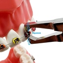 GDC Bracket Remover  Straight Plier 300083_4.png