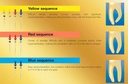 Micro Mega Hero Shaper Individual Inget Rotary Files_4.png