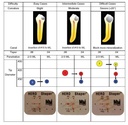 Micro Mega Hero Shaper Individual Inget Rotary Files_5.png