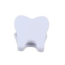 GDC Key Chain For Dental Cartridge Kcsyr_4.png
