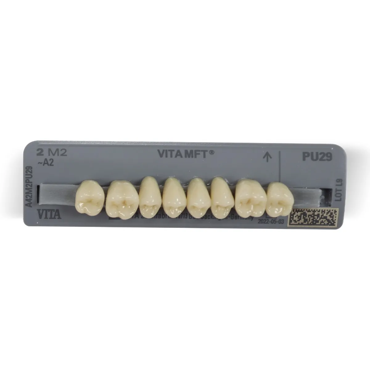 Vita MFT Denture Teeth R452M1 Set of 28_5.jpg