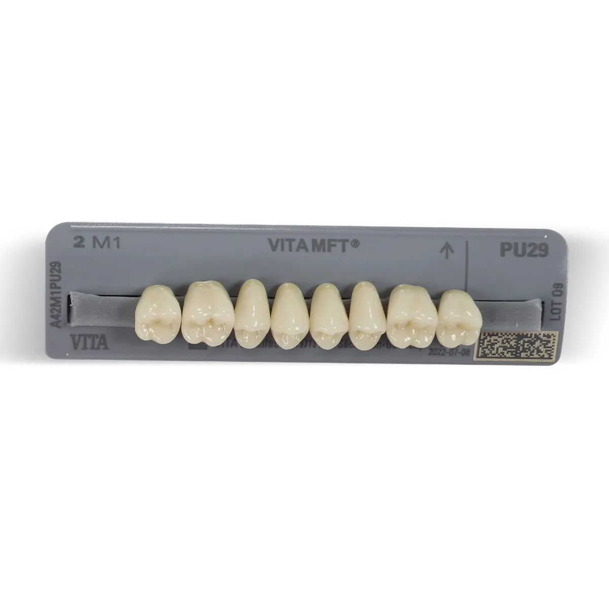 Vita MFT Denture Teeth T412M1 Set of 28_5.jpg