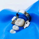 GDC Rubber Dam Clamp Adult 12a Rdc12a_4.png
