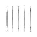 GDC Teflon Coated Composite Instrument Anterior Set Of 5 Pcs In Pouch (CIAP5)