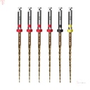 Endoart Expert Gold Reciprocation Files Kit 25mm Assorted (Pack of 6)
