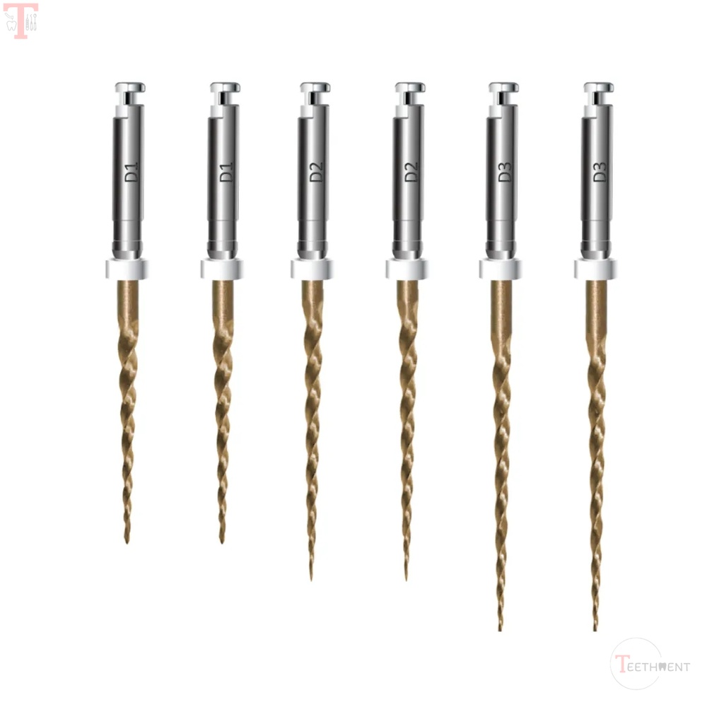 Endoart Retreatment Gold Rotary Files Kit Assorted D1-D3 (Pack of 6)