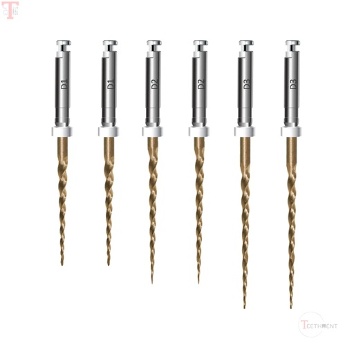 Endoart Retreatment Gold Rotary Files Kit Assorted D1-D3 (Pack of 6)